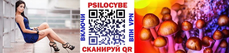 где продают наркотики  Татарск  Галлюциногенные грибы Psilocybine cubensis 